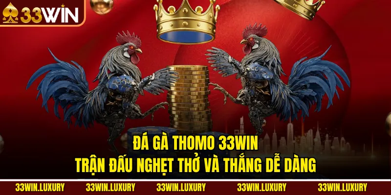 đá gà thomo 33win trận đấu nghẹt thở 